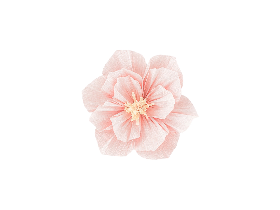 Laxiscreed Flores De Papel Peach De 20cm Para Decoração De Casamento Com Vídeo