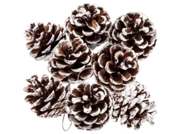 12 conchas de pinheiro naturais com corda 4.5cm para decoração de Natal e festas S/MARCA