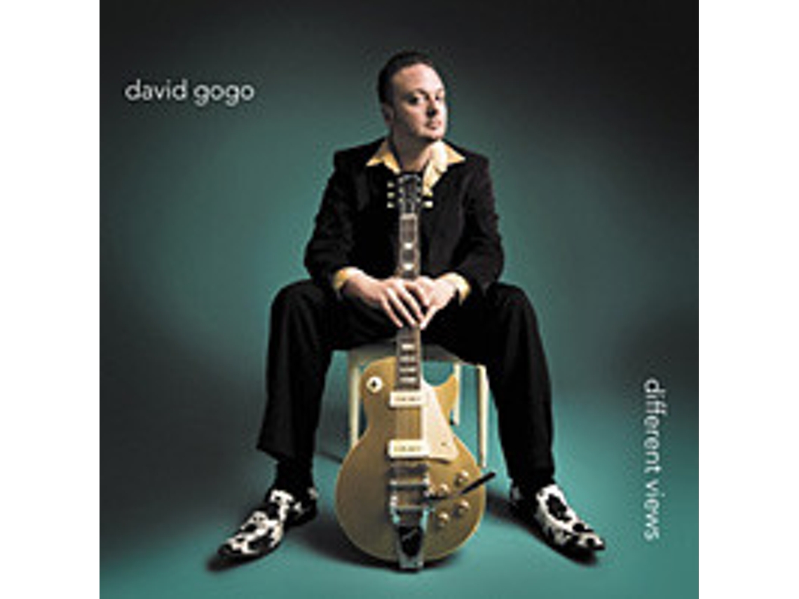 CD David Gogo - Different Views