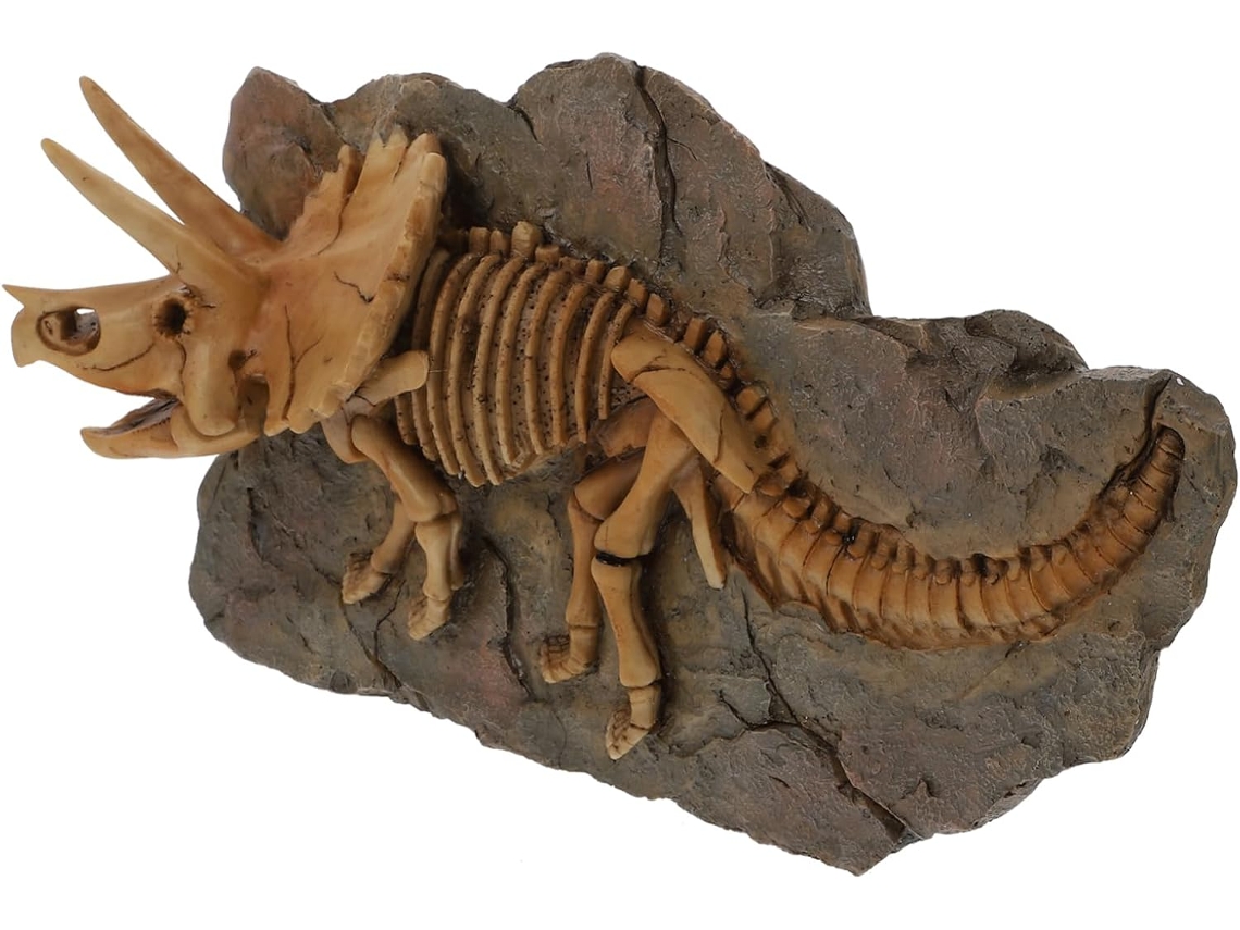 Aplique de Parede Decorativo, Natural e Artístico, em Resina Marrom, com Design de Fóssil de Dinossauro. SFUSHOS