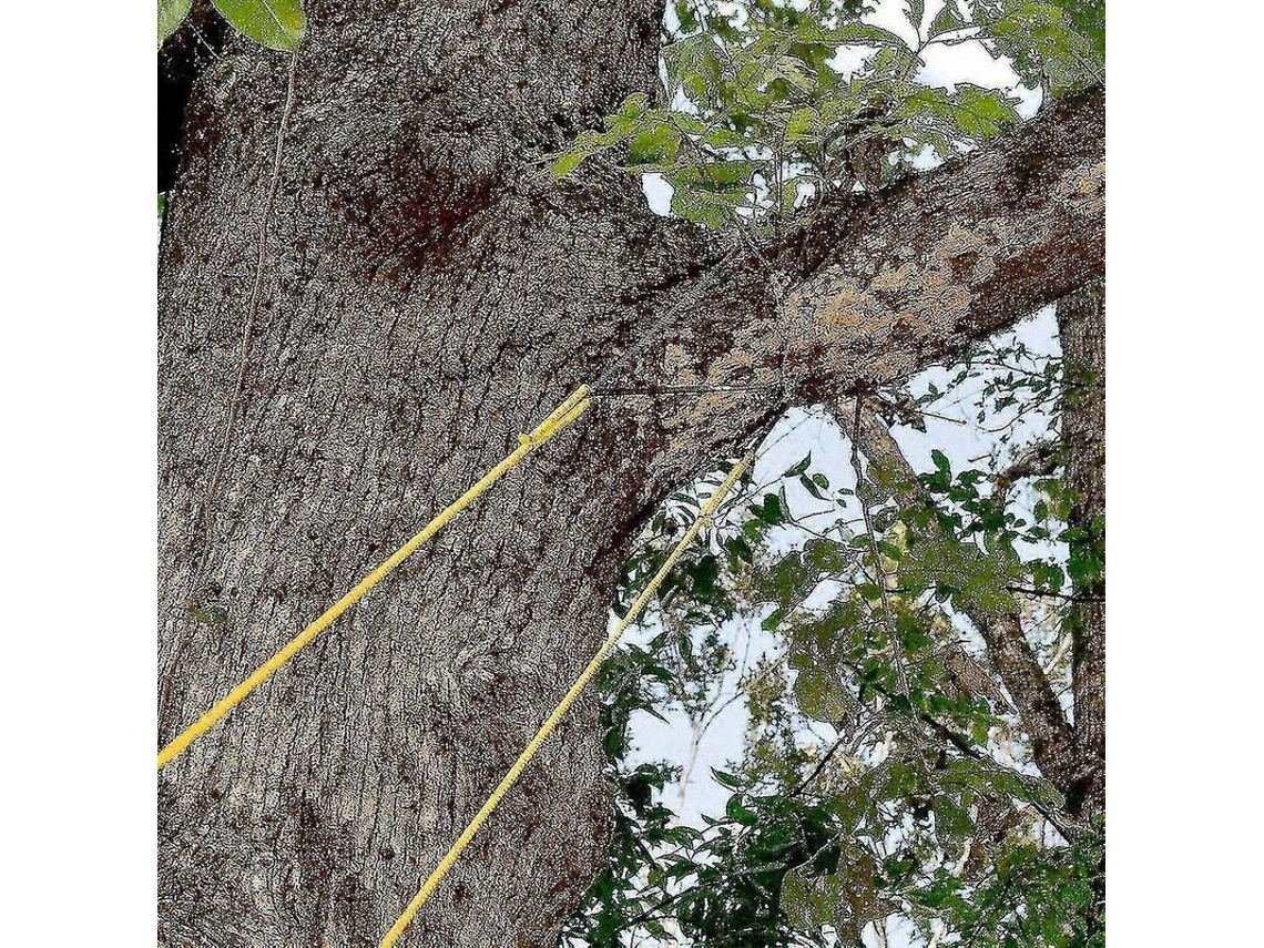 Sierra De Cadena Con Cuerda Para Árboles De 48 Pulgadas De Alcance Alto Doble Hoja Portátil