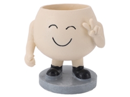 Vaso de Suculenta em Resina com Sorriso e Durável Primerox