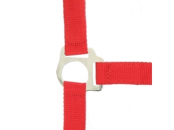 Halter Riding World Club