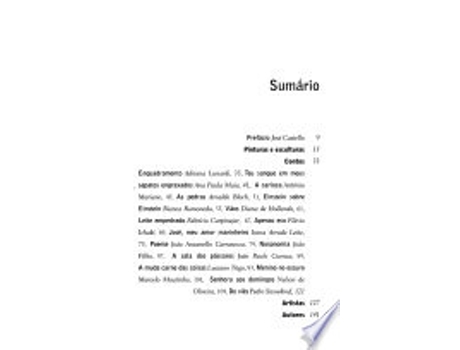 Livro Contos Sobre Tela de Adriana Lunardi (Português do Brasil)