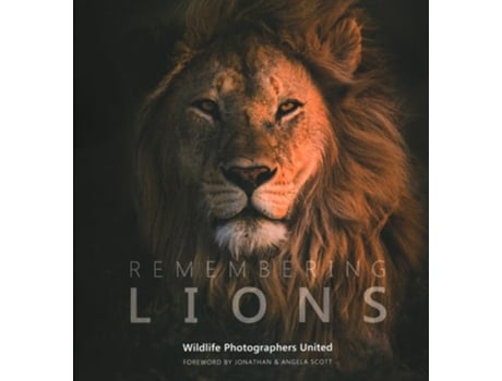 Livro Remembering Lions de Margot Raggett e Wildlife Photographers United (Inglês - Capa Dura)
