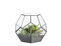Terrário Geométrico De Vidro Pequeno 15cm Para Plantas, Sem Plantas Incluídas