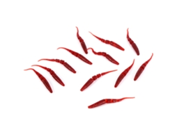 12 Iscas de Pesca Lifelike para Água Doce Vermelhas