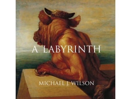 Livro A Labyrinth de Michael J Wilson (Inglês)