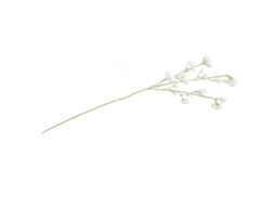 Conjunto Floraria Decorativa Simulação Estrelar Varanda