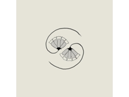 GODSPEED YOU! BLACK EMPEROR - G_ds Pee At States End! CD 2021