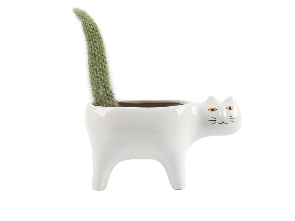 Vaso Cerâmico Para Suculentas E Cactos Com Design Moderno