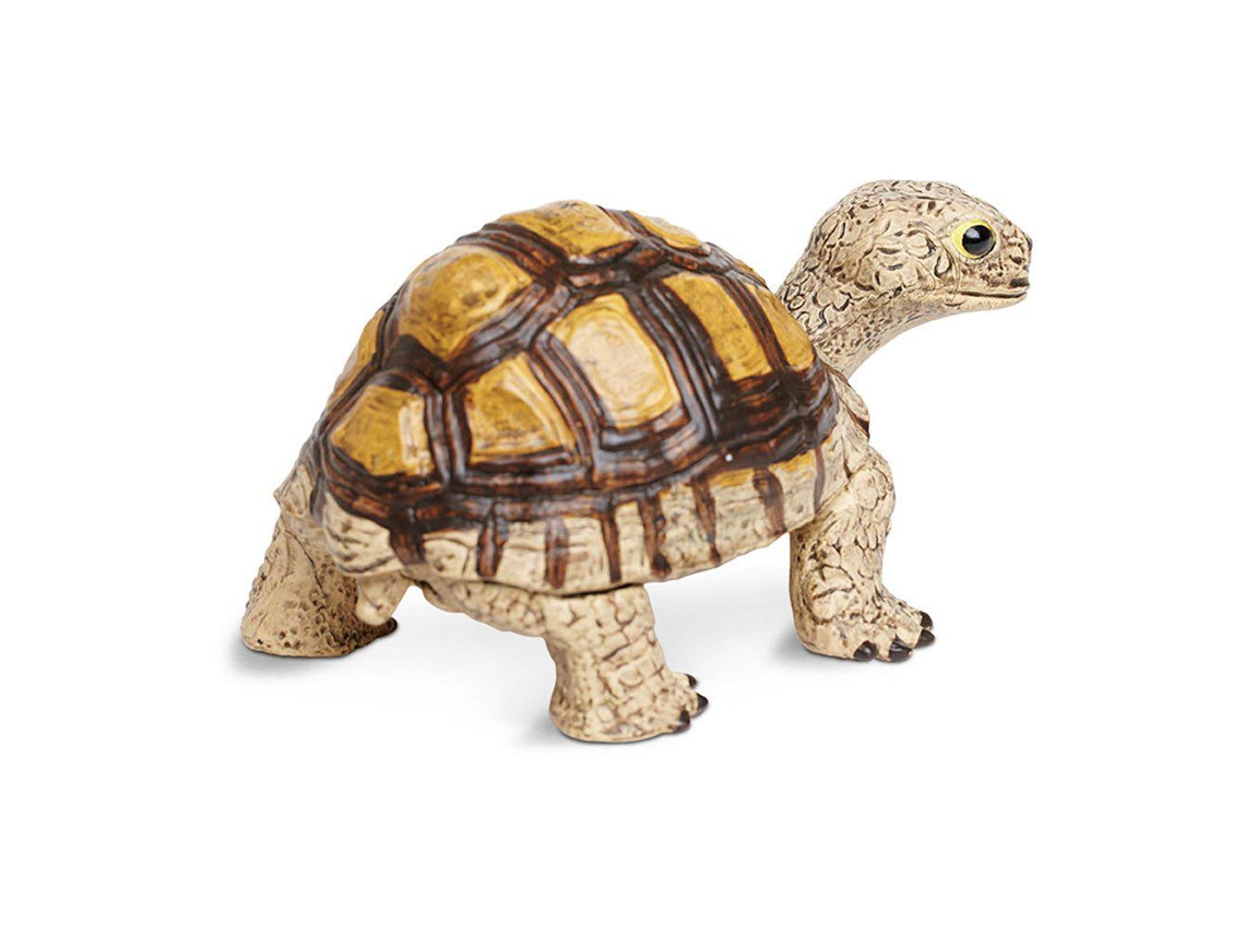 SAFARI Tortoise