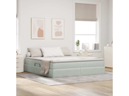 Vidaxl Cama Com Arrumação E Colchão Cinzento-claro 180 X 200 Cm Veludo
