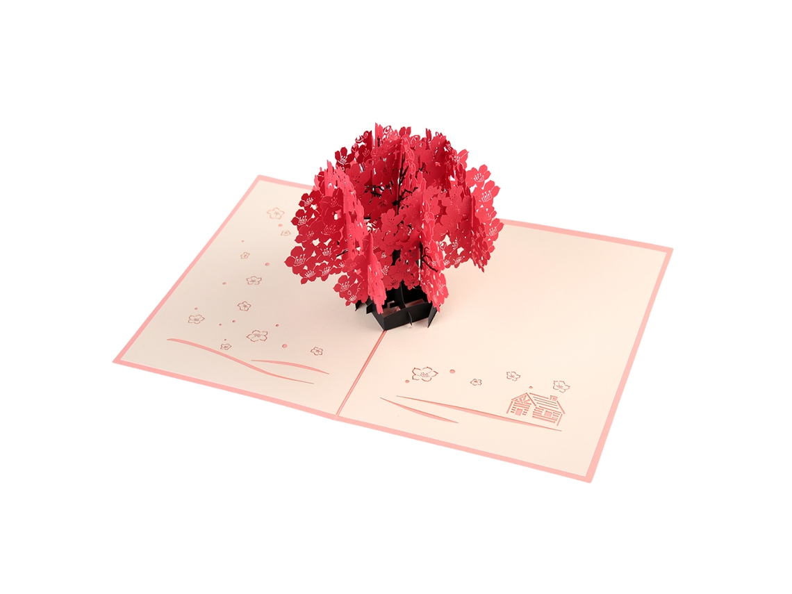 Cartões Pop Up 3d De Cumprimento 5