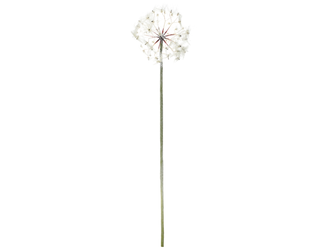 Dente-de-leão Artificial Branco Envio Plegável Fio De Ferro