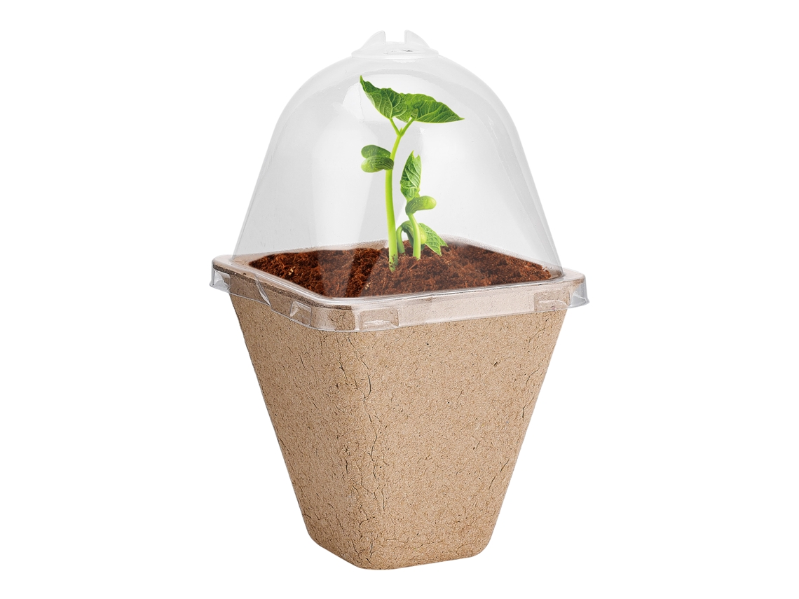Potes Biodegradáveis De Plantio Com Domo De Humidade Para Mudas