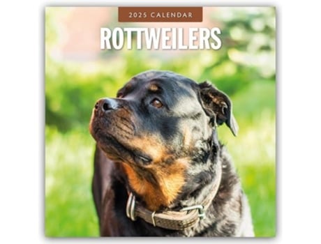 Livro Rottweilers 2025 Square Wall Calendar de Red Robin (Inglês)