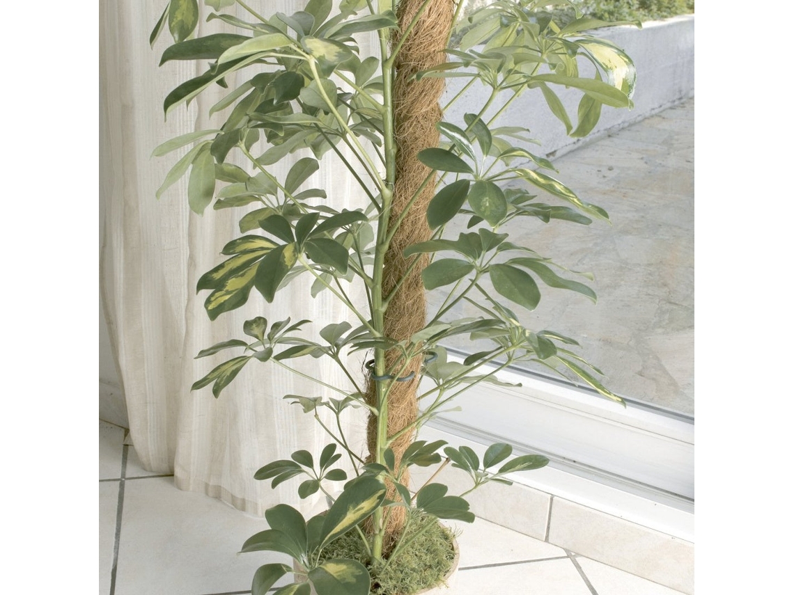 Estaca Nort Coco Ø70mmx1.7m Nt X6