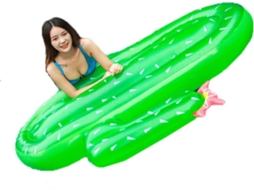 Cacto Inflável, Planta Aquática, Inflável