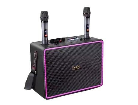 Bluetooth Alto-falante de 8 polegadas portátil externo sem fio portátil para reprodução de áudio microfone subwoofer TD