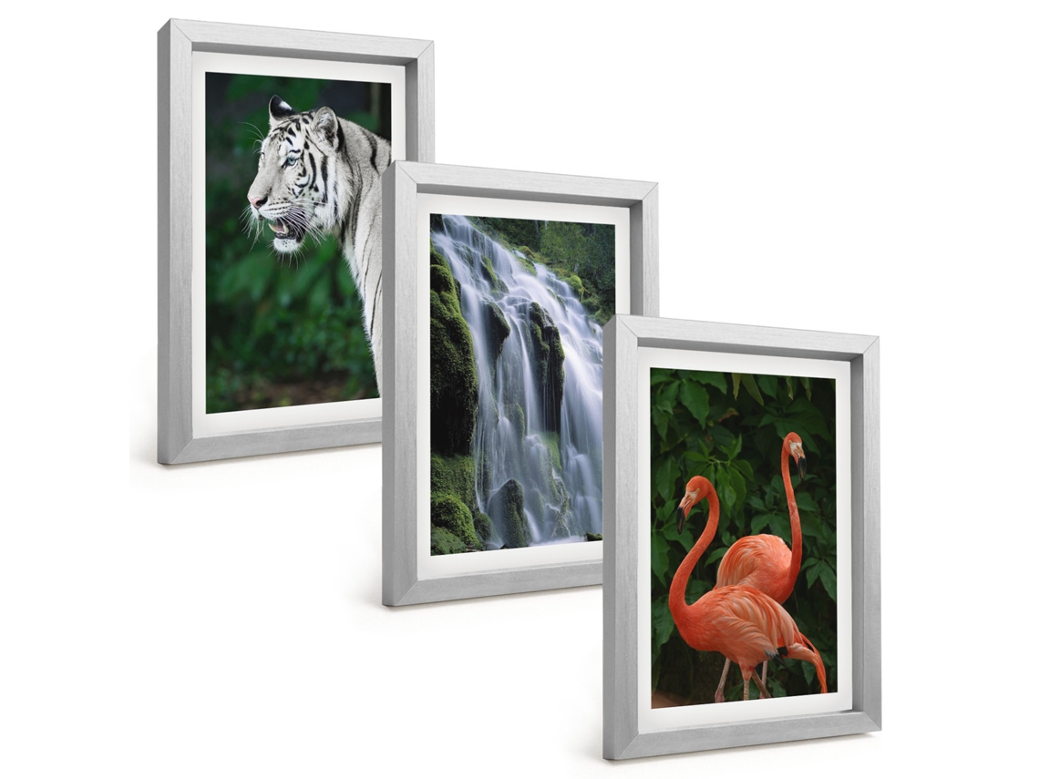 Galeria De Pinturas Muraistigre, Cachoeira, Flamingos, Natureza Moldura Prateada Pinturas De Quarto Espelharte (3 Peças 20x30 Cm)