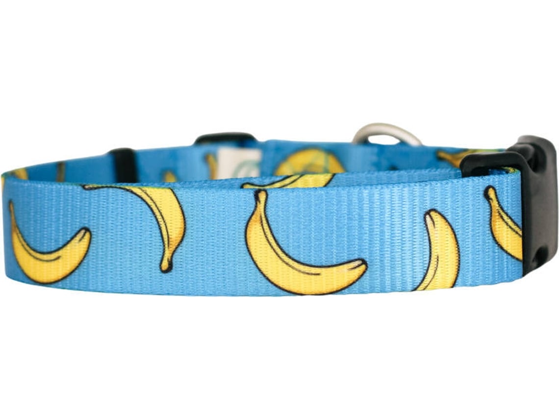 Becky dog apparel shop