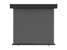 Maison Exclusive - Toldo Lateral De Varanda 80 X 250 Cm