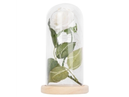 Lâmpada Led em Forma de Rosa LAXISCREED com Base de Vidro, Presente de Casamento ou Dia dos Namorados