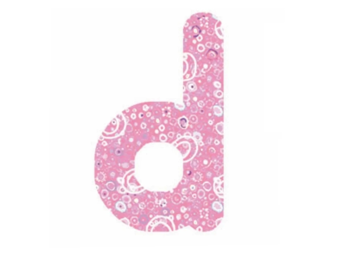 Lilipinso Autocolante Rosa Letra D