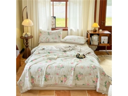 Colcha Acolchoada Fansu Capa de Cama Manta para Ar Condicionado Edredom Microfibra Conjunto Sofá Cobertor Toda