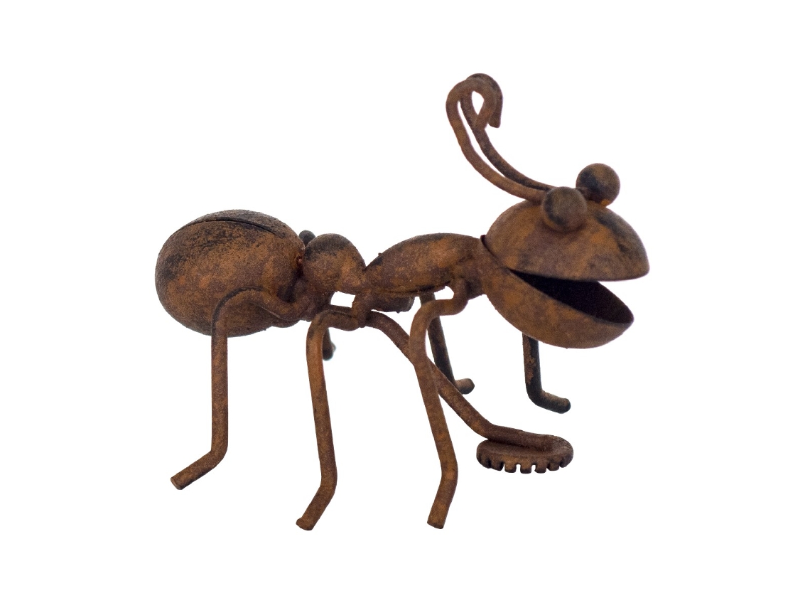 Formiga magnética