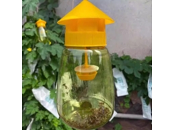 Armadilha de plástico amarelo MDUG para moscas das frutas, ecológica