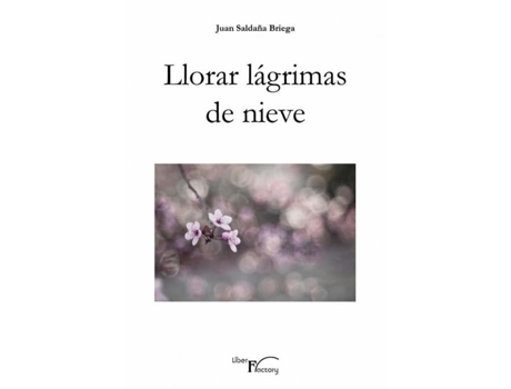 Livro Llorar Lágrimas De Nieve de Juan SaldaNa Briega (Português)