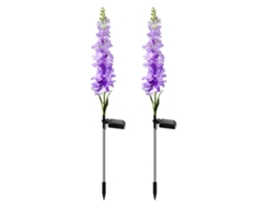 Solar Outdoor Garden Landscape Lights Simulate Luminous Hyacinth Insertion Decorative CHABERLU