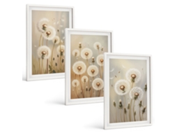 Conjunto De Pinturas Dentes-de-leão Brancos, Fundo Claro Espelharte (3 Peças 40x60 Cm)