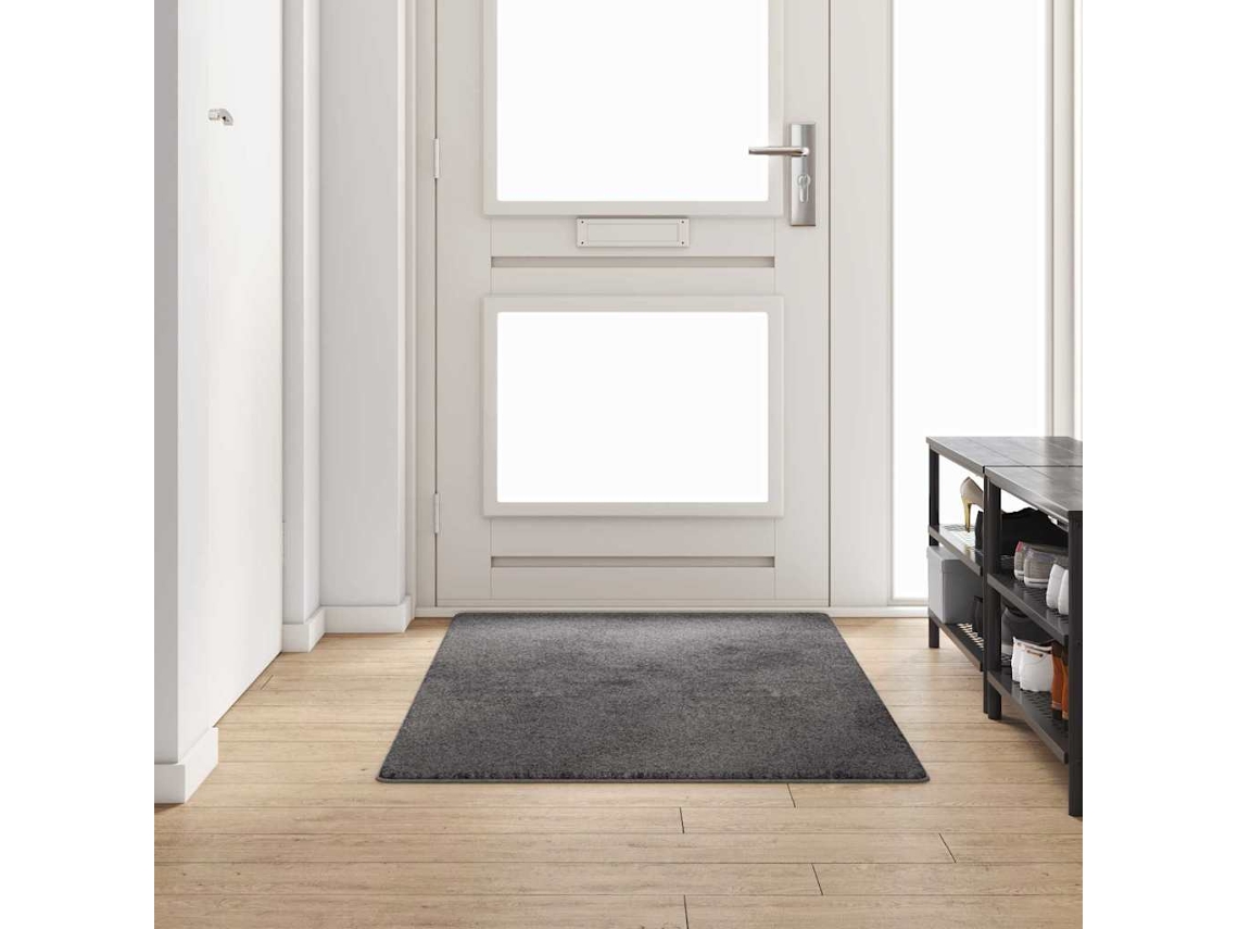 Vidaxl Runner De Carpete Cinzeto 100 X 200 Cm 100% Polipropileno Tuft