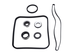 Kit de Reparo Selo Borracha para Bomba de Piscina Primerox
