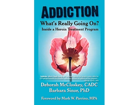 Livro AddictionWhats Really Going On Inside a Heroin Treatment Program de Deborah McCloskey Barbara Sinor (Inglês)