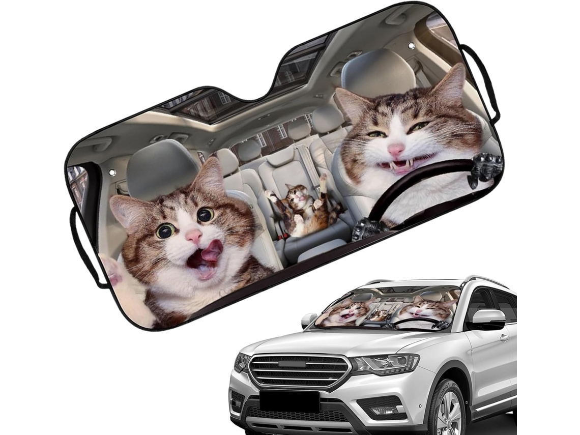 O Para-brisa, Aquele Para O Para-brisa Do Carro, Dobrável.