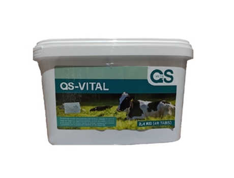 Qs-Vital Rehidratante para Animales Comprimidos Efervescentes 48 Uds QS VETS