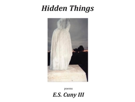 Livro Hidden Things de ES Cuny (Inglês)