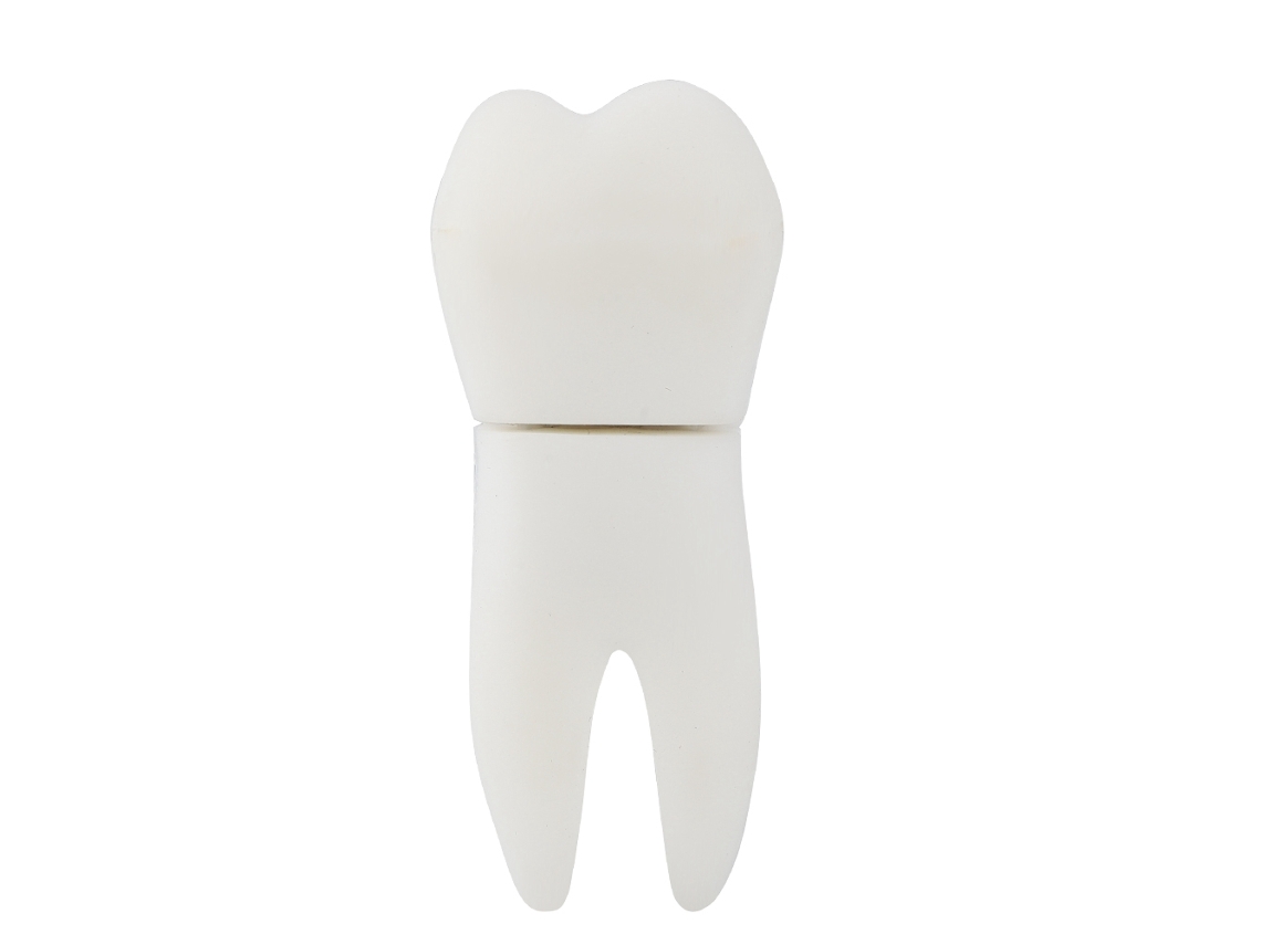 Pen Drive Usb 2.0 16g Em Forma De Dente Fofo, Stick De Memória, Armazenamento