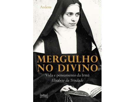 Livro Mergulho No Divino De Diversos (português Do Brasil)