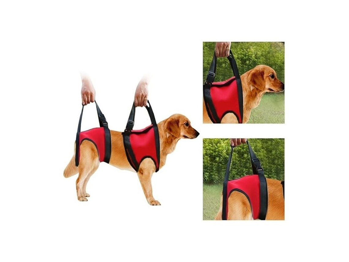 Tipos De Suporte Frontal E Traseiro Para Colete De Tração Para Cães Idosos E Feridos Slowmoose (g Vermelho Perna Traseira)