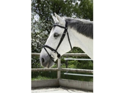 Cabeçada Combine Cinzento Cobnorton Equestrian