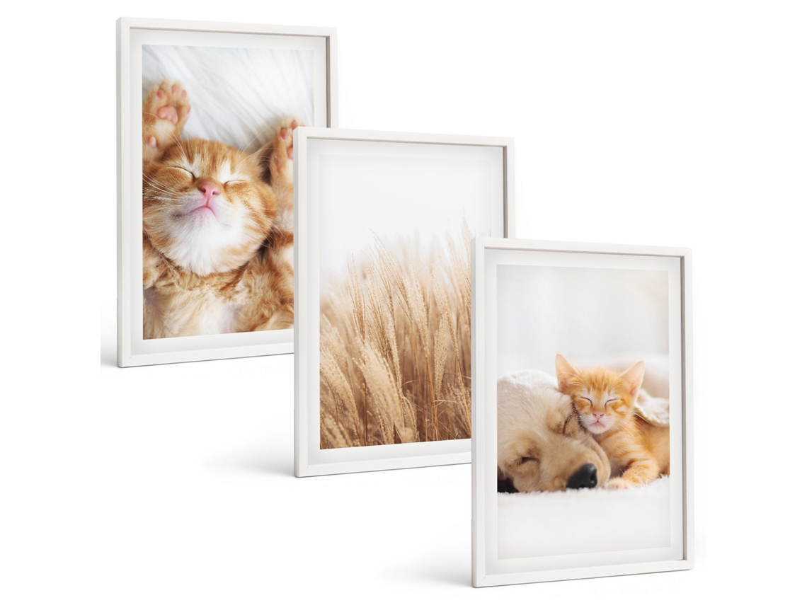 Quadros Decorativos Para Parede Animais Fofos, Gatos, Cachorros, Estilo Boho Moldura Branca Pinturas De Quarto Espelharte (3 Piezas De 40x60 Cm)