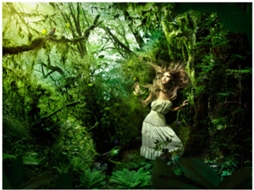 Papel de Parede ARTGEIST Perdido Na Floresta (300x231 cm)