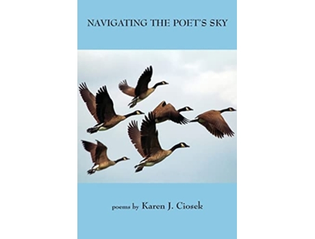 Livro Navigating The Poets Sky De Karen J Ciosek (inglês)