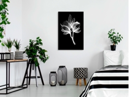 Quadro ARTGEIST Night Flower (1 Part) Vertical (20x30)