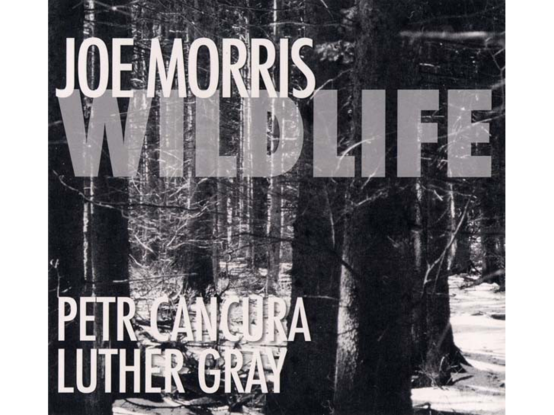 CD Joe Morris - Wildlife